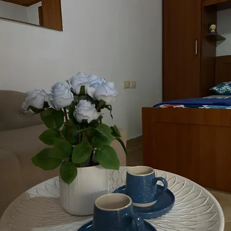 Apartamento Ramo's Charming With Sunlit Veranda - 2nd *