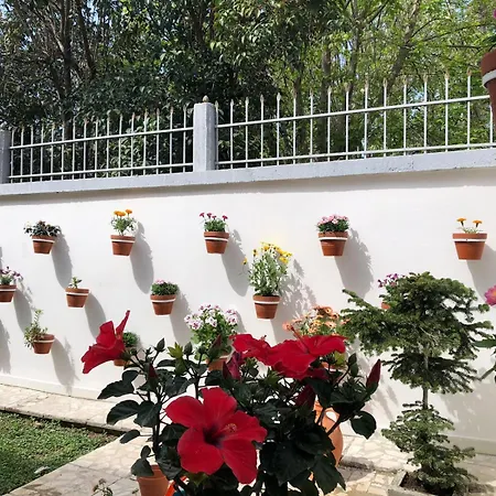 Ramo's Charming With Sunlit Veranda - 2nd Vlorë