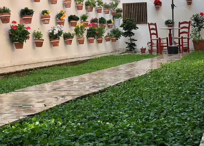 Ramo's Charming With Sunlit Veranda - 2nd